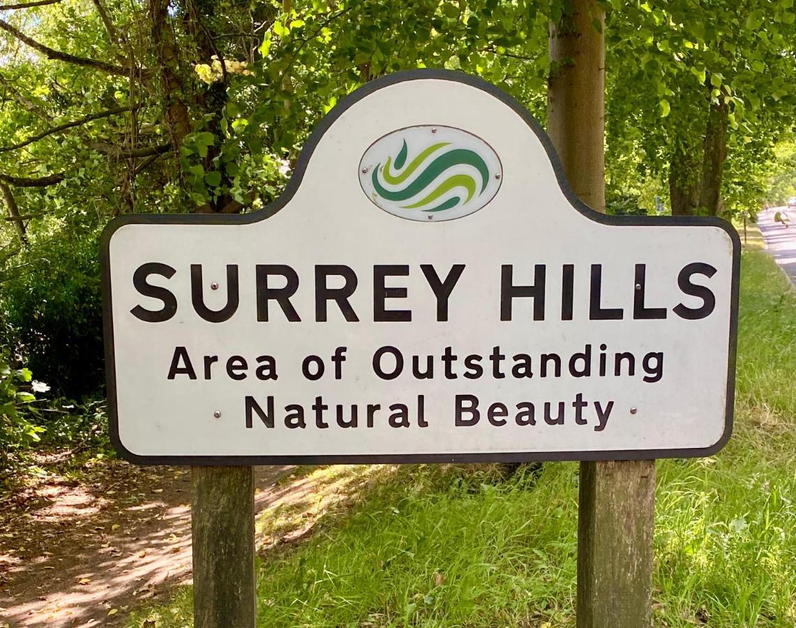 Ranmore Rise Retreat In The Surrey Hills 도킹 외부 사진