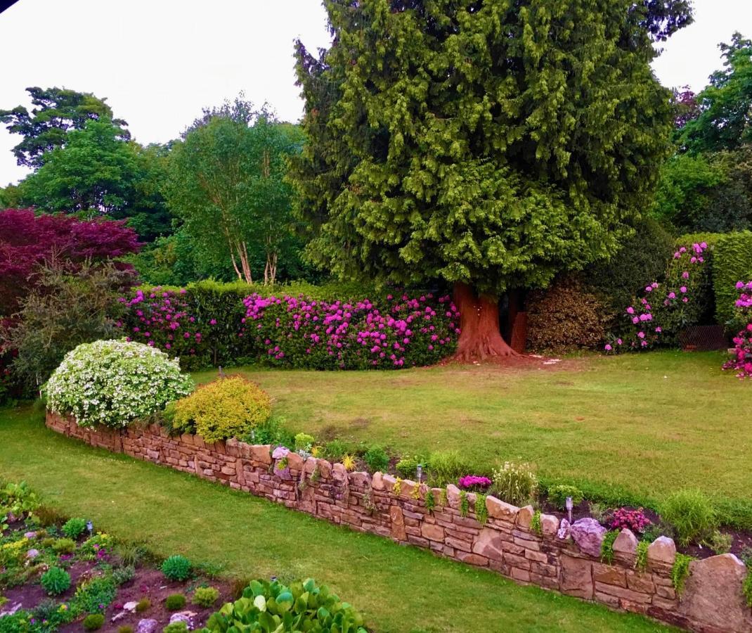 Ranmore Rise Retreat In The Surrey Hills 도킹 외부 사진